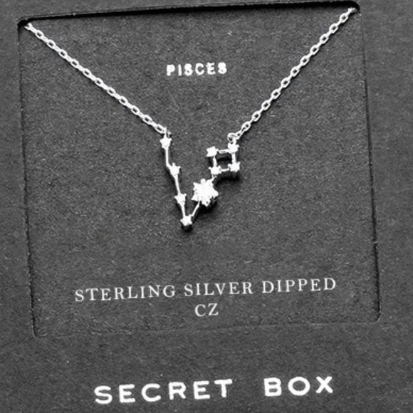 PISCES | Dainty Constellation ZODIAC Necklace - Picture 2 of 2